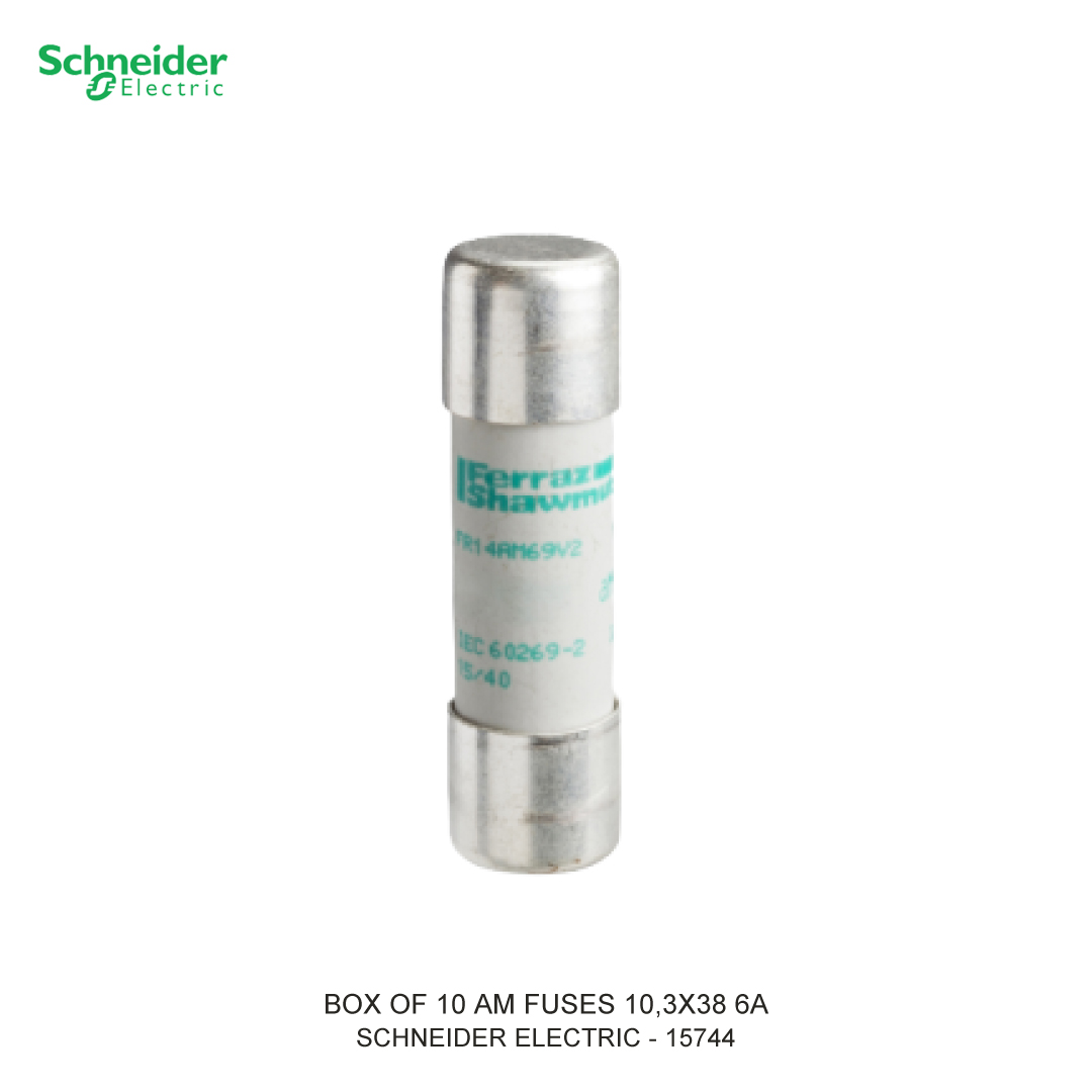 BOX OF 10 AM FUSES 10,3X38 6A