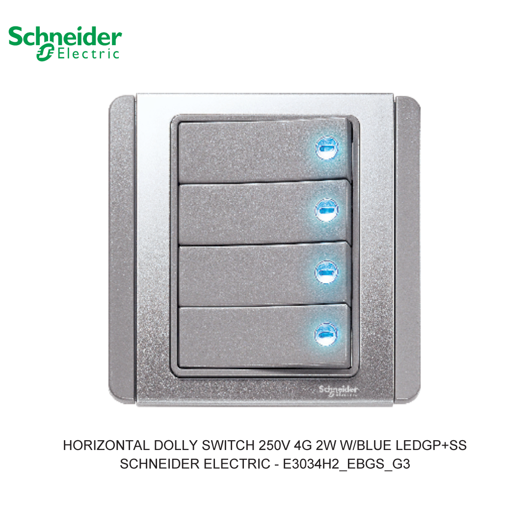 HORIZONTAL DOLLY SWITCH 250V 4G 2W W/BLUE LEDGP+SS