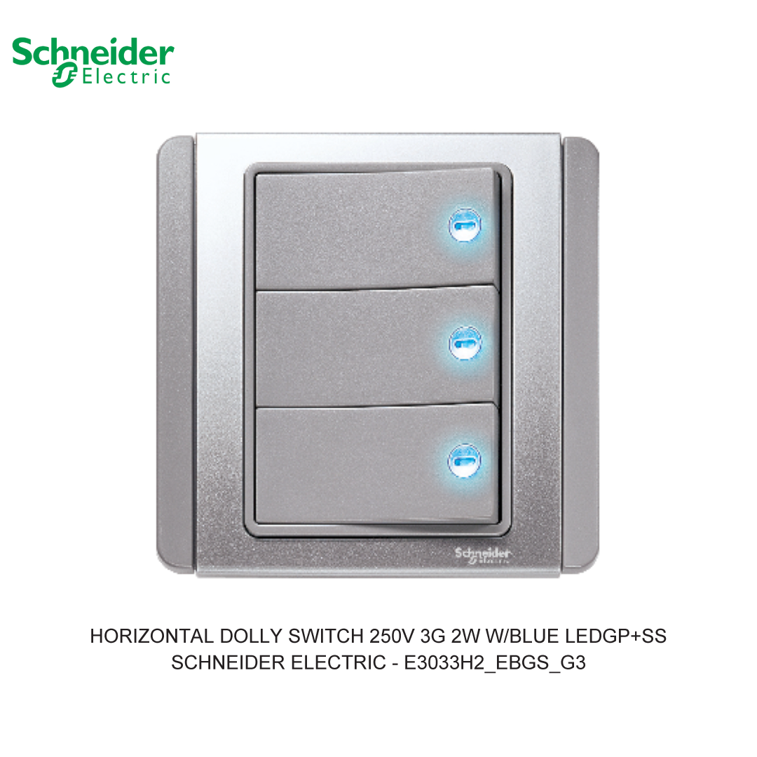 HORIZONTAL DOLLY SWITCH 250V 3G 2W W/BLUE LEDGP+SS