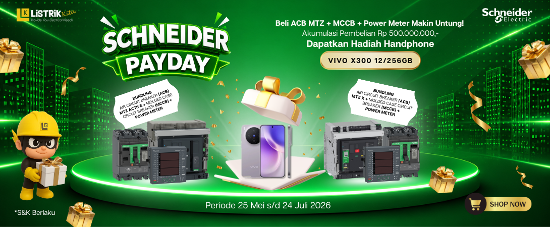PAYDAY SCHNEIDER ELECTRIC